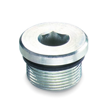 VST R 1 WD Body plug with G1" BSP WD thread, with gasket